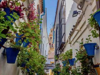 Cordoba, Calle de la Flores