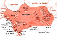 Locatie schildervakantie Andalusie aan de Costa de la Luz