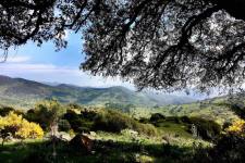 De Alcornocales in Andalusië