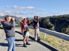Birdwatchen  met lokale gids Gorka Gorospe