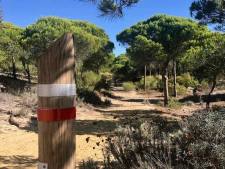 6. door de pijnboombossen