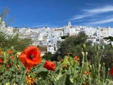 5. Vejer de la Frontera