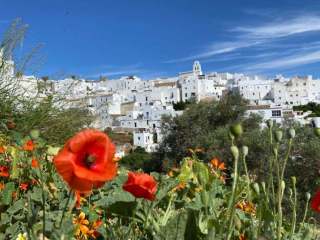 Vejer de la Frontera