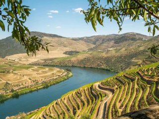 Douro Vallei