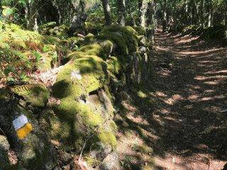 Wandelen Ribeira Sacra
