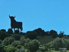 De beroemde stier