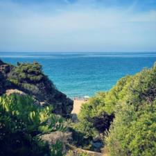 Conil