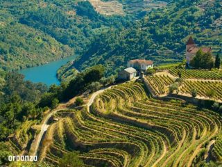 Douro, Porto e Norte