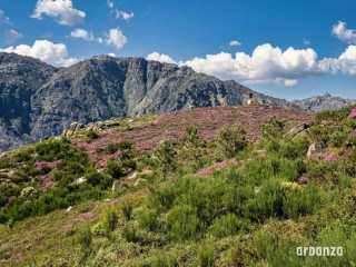 Montesinho, Porto e Norte