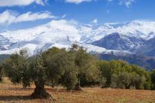Sierra Nevada
