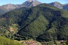 Vallei in de omgeving van Potes, Picos de Europa