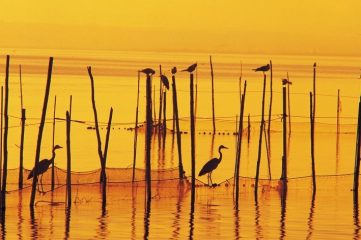 Albufera, bij Valencia