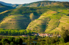 Het Douro wijngebied