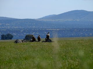 Vale Gieren op de trip met onze gids