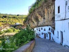 Sentenil de la Bodega's