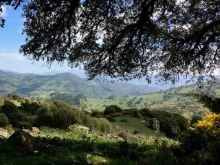 Natuurpark Alcornocales