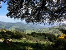 Natuurpark Alcornocales