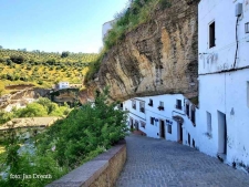 Sentenil de la Bodega's