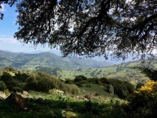 Natuurpark Alcornocales