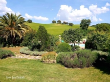 Cortijo bij Ronda
