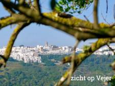 Zicht op Vejer