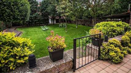 Tuin