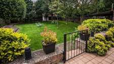 Tuin