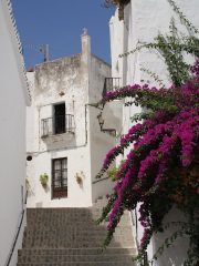 2011 Andalusië