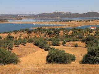 2017 Alentejo