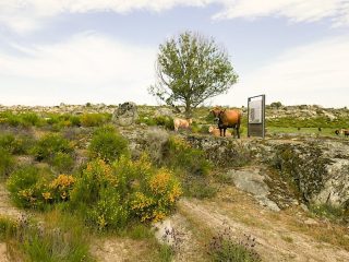 2018 Ruta de la Plata