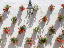 2010 Andalusië