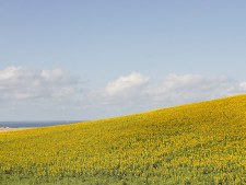 2018 Vejer de la Frontera