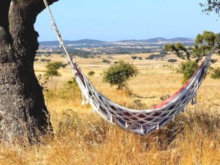 Landgoed in de Alentejo