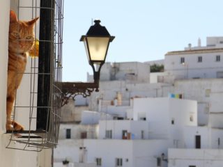 Vejer de la Frontera, Andalusië