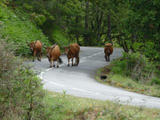 onderweg