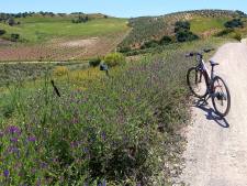 Fietsen langs de Via Verde de la Sierra