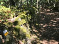 Wandelen Ribeira Sacra