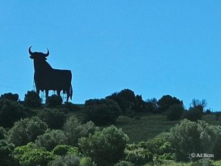 De beroemde stier