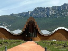 Bodega Ysios