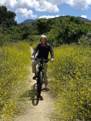 Fietsen