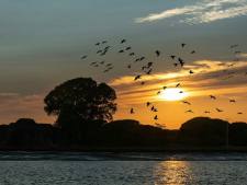 De Guadiana rivier