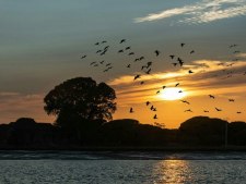 De Guadiana rivier