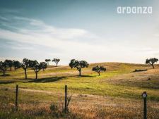 Alentejo