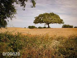 Alentejo