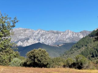 Picos de Europa