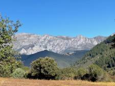 Picos de Europa