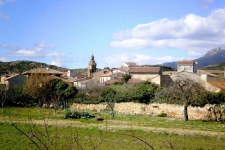 Abalos