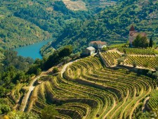 Auto Rondreis Noord Portugal Douro