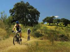 Fietsroutes in de omgeving