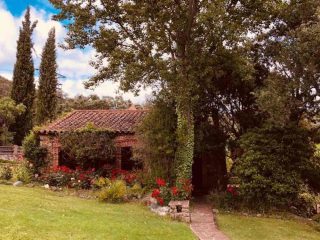 Casa Buho
